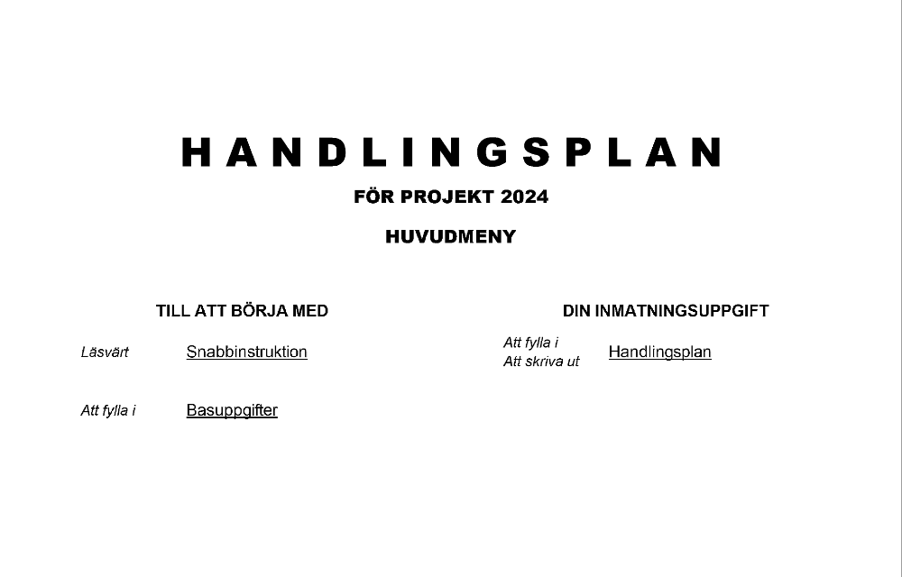 Handlingsplan projekt 2024