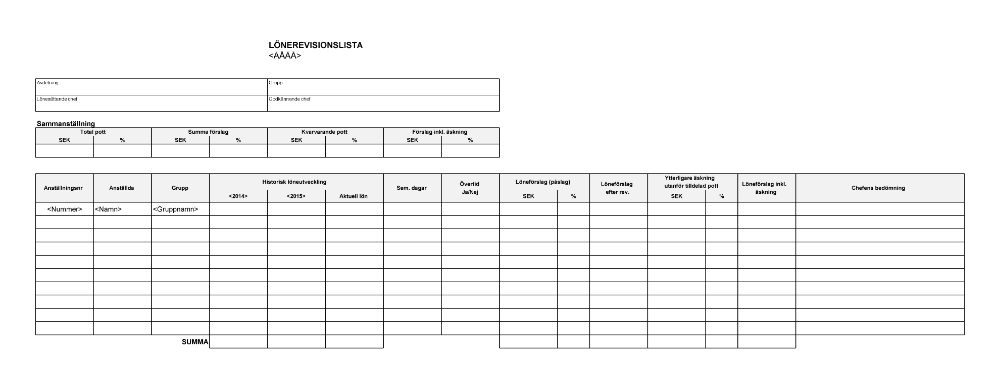 Lönerevisionslista