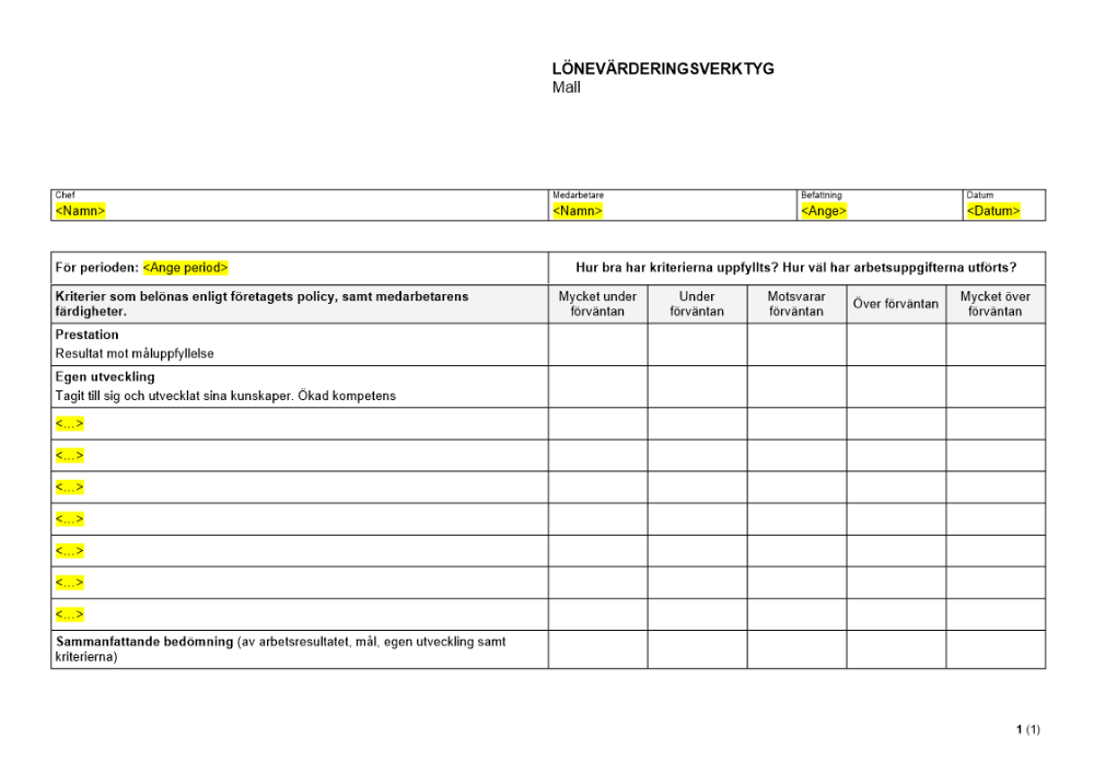 Lönevärderingsverktyg - Mall